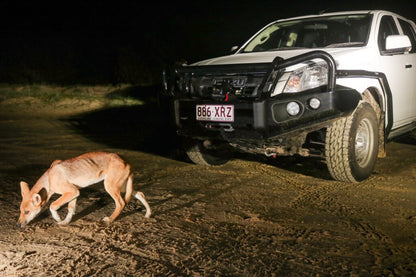 Rockarmor | Brush Bar To Suit Isuzu D-Max 2012-2020