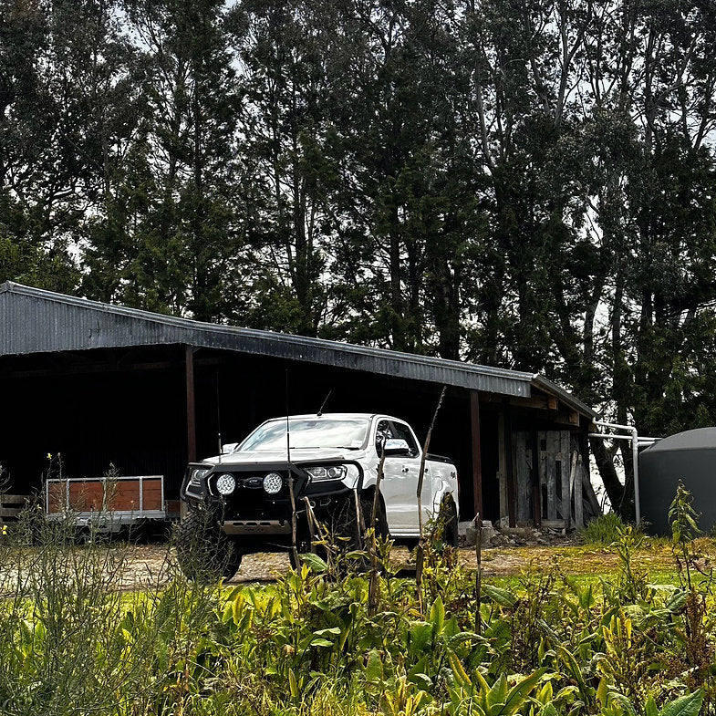 AFN 4x4 | Full Loop Bullbar - Ford Ranger PXII/III 2015-2022